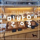 밀방울 | "경기 파주시" 파주 빵지순례 추천! 밀방울 빵집 솔직 후기