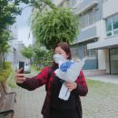 소피아꽃방
