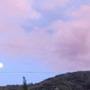 글래드성형외과의원 이미지