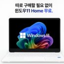 스파크텔 네이버블로그