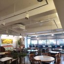 강남역 사주 잘보는곳 ✨ 사주카페 이안애 솔직 후기 (강남역 타로)