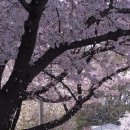 카이스트 세종관 이미지