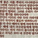 가라지 비유 (마태복음13장24~30,36~43) 이미지