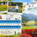 신원cc 26.9.8 이미지