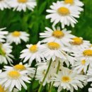 구미신평초등학교 이미지