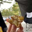 태안캠핑농원 이미지