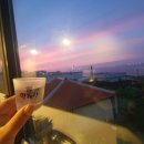 고등어회결사 이미지