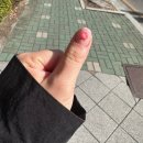 백석초등학교 | 일산 백석동 네일샵 디엘 네일앤뷰티 다양한 디자인 추천과 꼼꼼한 시술 후기