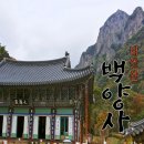 봉양초등학교 | [공지] [단풍명소 내장산] 장성 백암산 백양사 초가을의 모습 - 수산물전문가 꼼꼼후기