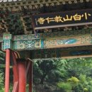 대구소막창 홍봉근꼼장어 이미지