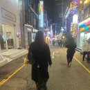 (봄특강 인생은 봄)내 인생의 찬란한 봄+오늘쓰는 어제일기 | 혹이떨의 일기