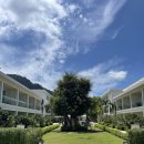 [푸켓/카타비치] Niranapa Boutique Hotel (니라나파 부티끄 호텔) 투숙 후기