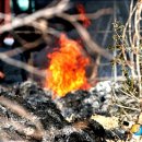 어단2리 이미지