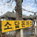 소담푸드 | 추천 어르신들도 줄서서 드시는 수제 돈까스 로컬 맛집 소담돈까스 + 논산 로컬푸드 직판장 딸기 구매 후기
