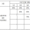 특별조건부 특별약관(특별약관의 부가조건)(특별약관의 보험기간) 이미지