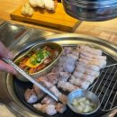 돈우애