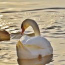 김정민한의원 이미지