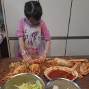 ✨️하린이의 쿠킹클래스_보쌈 배추김치+무 김치🥬🌶 이미지