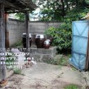 송해면-1 이미지