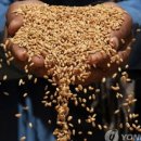 (주)미래생명자원 이미지