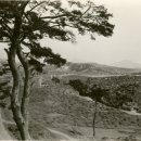 서울청운초등학교 이미지