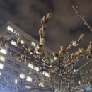 신방화역 4번출구 앞 네이버블로그