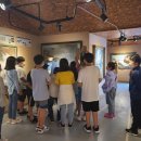 안면초등학교 이미지