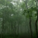 대관령마루길 이미지