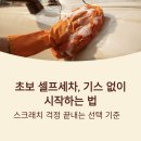 윈미트 | 잇츠윈워시미트, 초보 셀프세차 기스 줄이는 선택 기준 자세히 정리