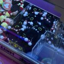 스트라이크존 구리돌다리구장