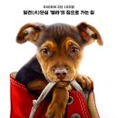 덴버건설(주) 이미지