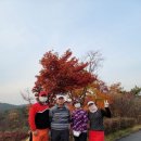 스카이골프스쿨 이미지