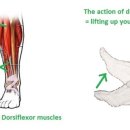포바즈한의원 이미지
