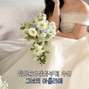 아틀리에 | 웨딩촬영생화부케 추천 그녀의아틀리에 웨촬 부케 후기