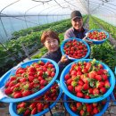 맛.보이소 이미지