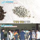 굿모닝농자재 네이버블로그