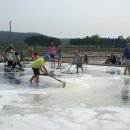 연세호암태권도 이미지