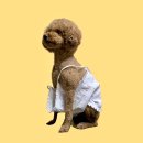 중앙로길 | [명동/h&amp;m] 명동 쇼핑하기 | 명동 h&amp;m 후기 | FINAL SALE | 착샷 有