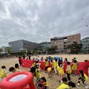 [공지] 대구 경북 초등학교운동회는 드림트리와 함께!!!