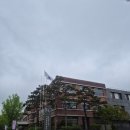 드영미술관 | 서울 국립 현대 미술관 론 뮤익 전시회 후기