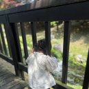 부천가볼만한곳 남부수자원생태공원 아이랑 애견동반 피크닉 개울가 후기