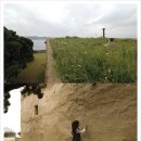 바다와 산사이 이미지