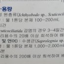 수생약국 네이버블로그