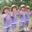 은강어린이집 Daum카페