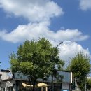 수정화원 | [경기/남양] 🌼 화성 수정화원에서 만난 가성비 꽃다발 후기 🌼