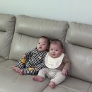 그린제과점 이미지