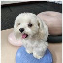 아지스테이션 이미지