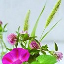 지중해 아침 1 이미지