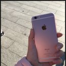 로즈골드 네이버블로그