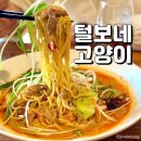 위미3리 마을회관 | 독특한 서귀포 남원 맛집 털보네고양이
